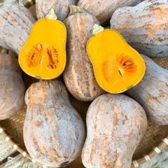 Địa Chỉ Đăng Tin HCM