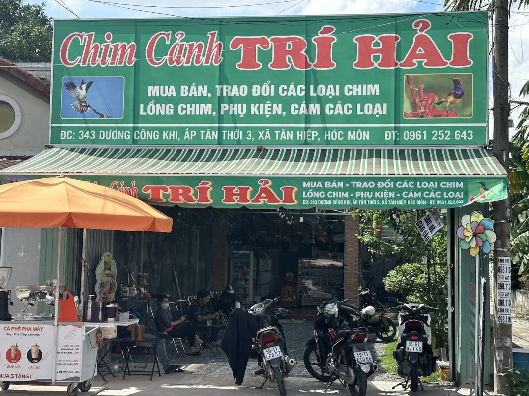Địa Chỉ Đăng Tin HCM