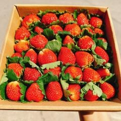 Địa Chỉ Đăng Tin HCM