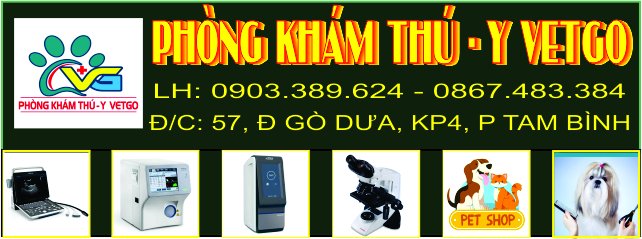 Địa Chỉ Đăng Tin HCM