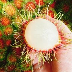 Địa Chỉ Đăng Tin HCM