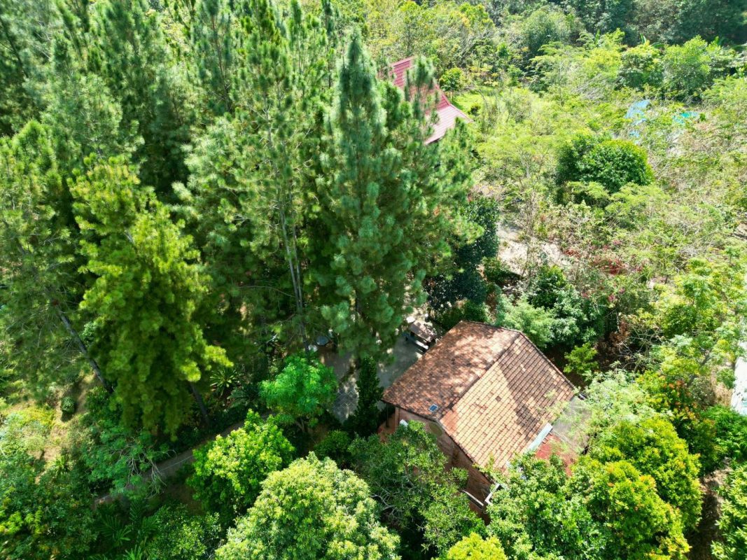Địa Chỉ Đăng Tin HCM