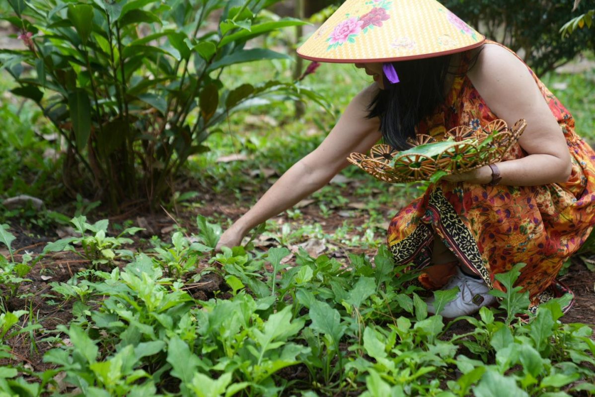 Địa Chỉ Đăng Tin HCM