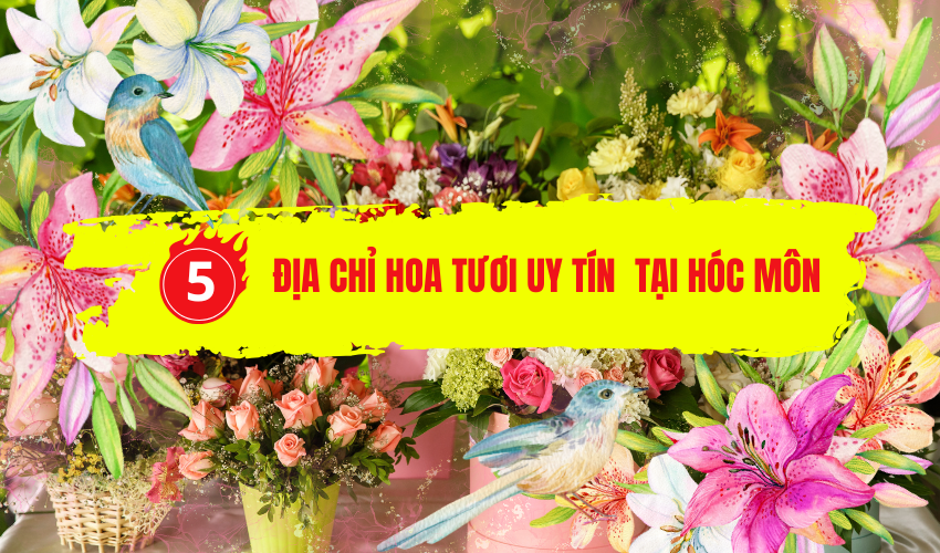 Địa Chỉ Đăng Tin HCM