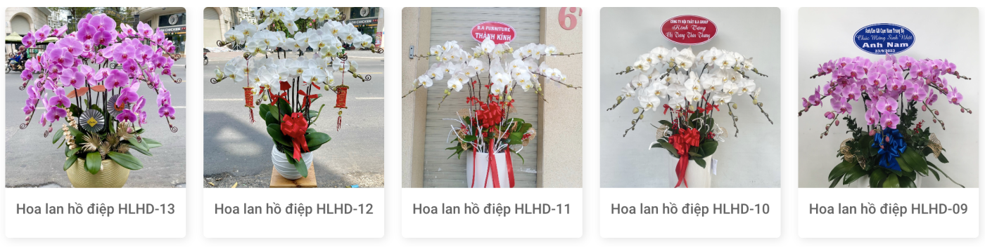 Địa Chỉ Đăng Tin HCM