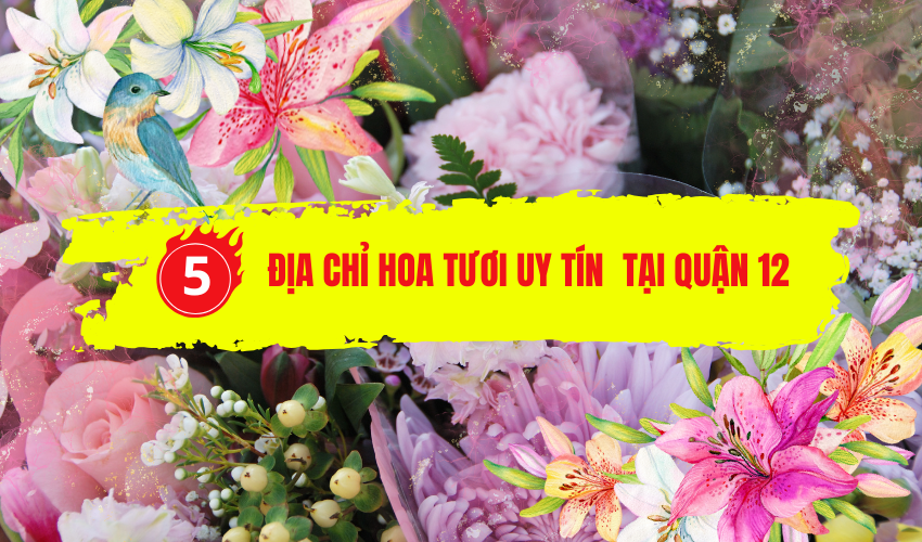 Địa Chỉ Đăng Tin HCM