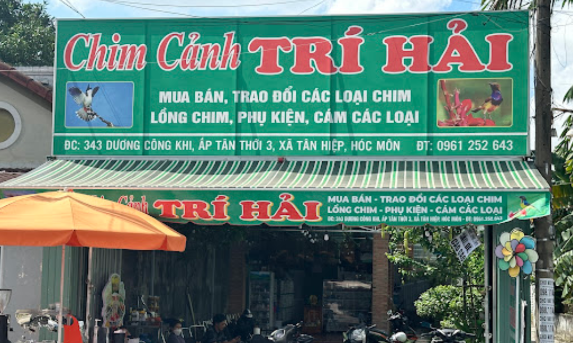 Địa Chỉ Đăng Tin HCM