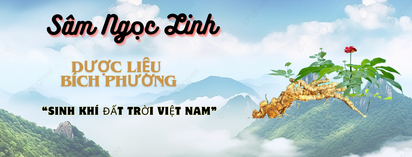 Địa Chỉ Đăng Tin HCM