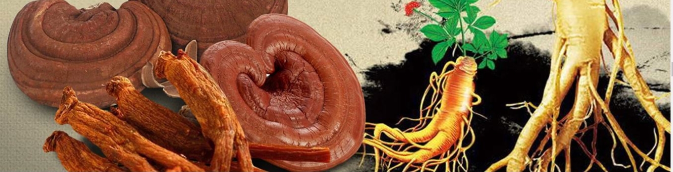 Địa Chỉ Đăng Tin HCM