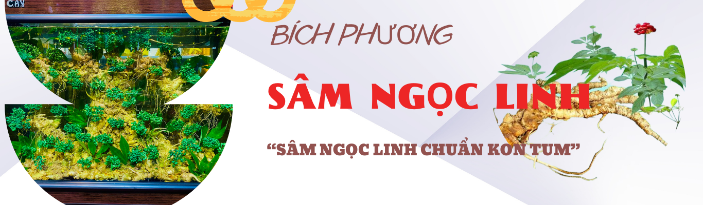 Địa Chỉ Đăng Tin HCM