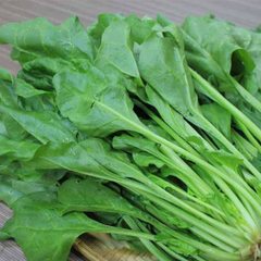 Địa Chỉ Đăng Tin HCM