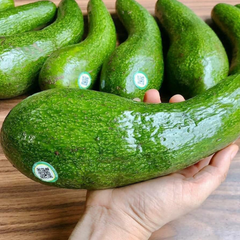 Địa Chỉ Đăng Tin HCM