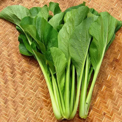 Địa Chỉ Đăng Tin HCM