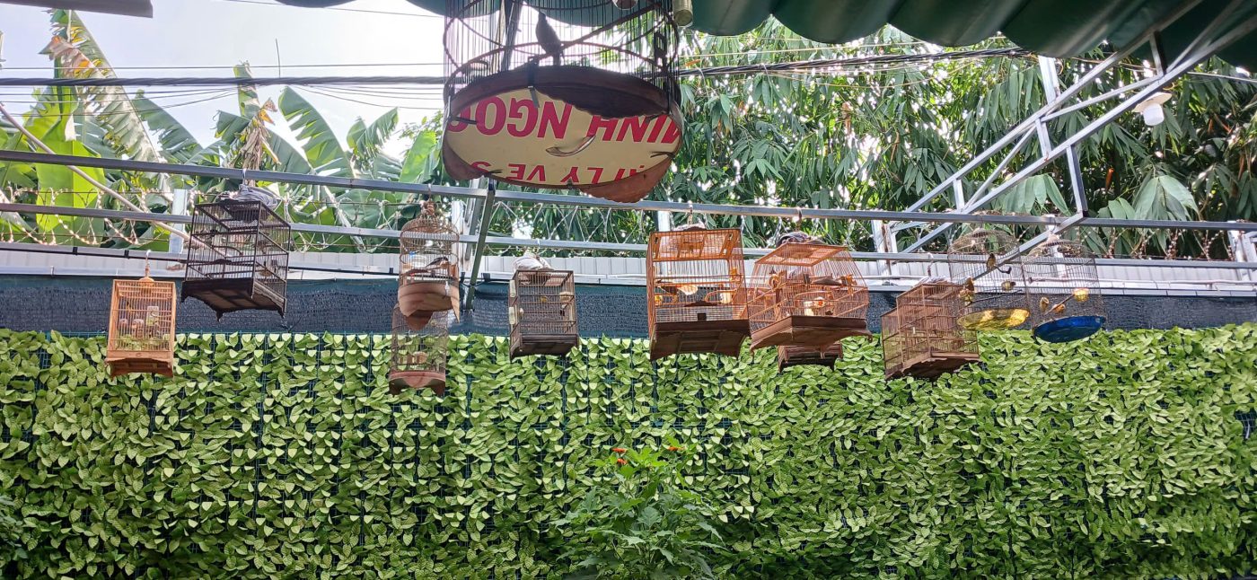 Địa Chỉ Đăng Tin HCM