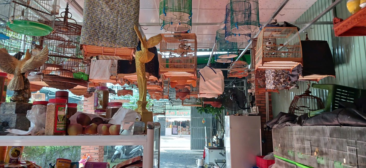 Địa Chỉ Đăng Tin HCM