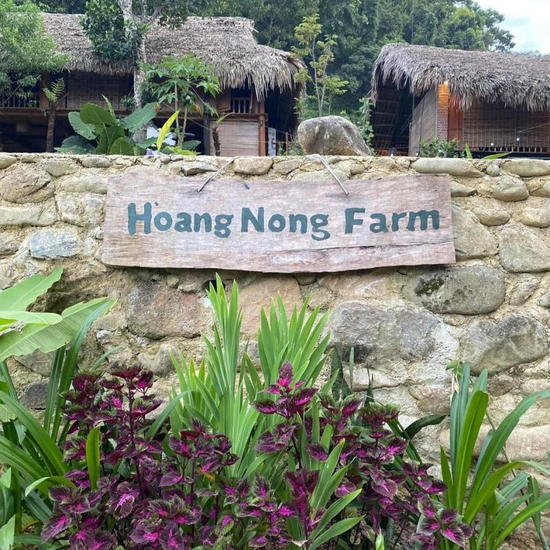 Địa Chỉ Đăng Tin HCM