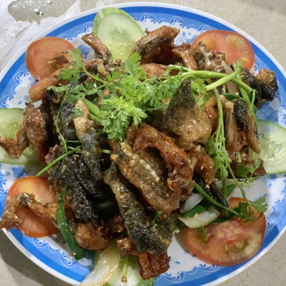 Địa Chỉ Đăng Tin HCM