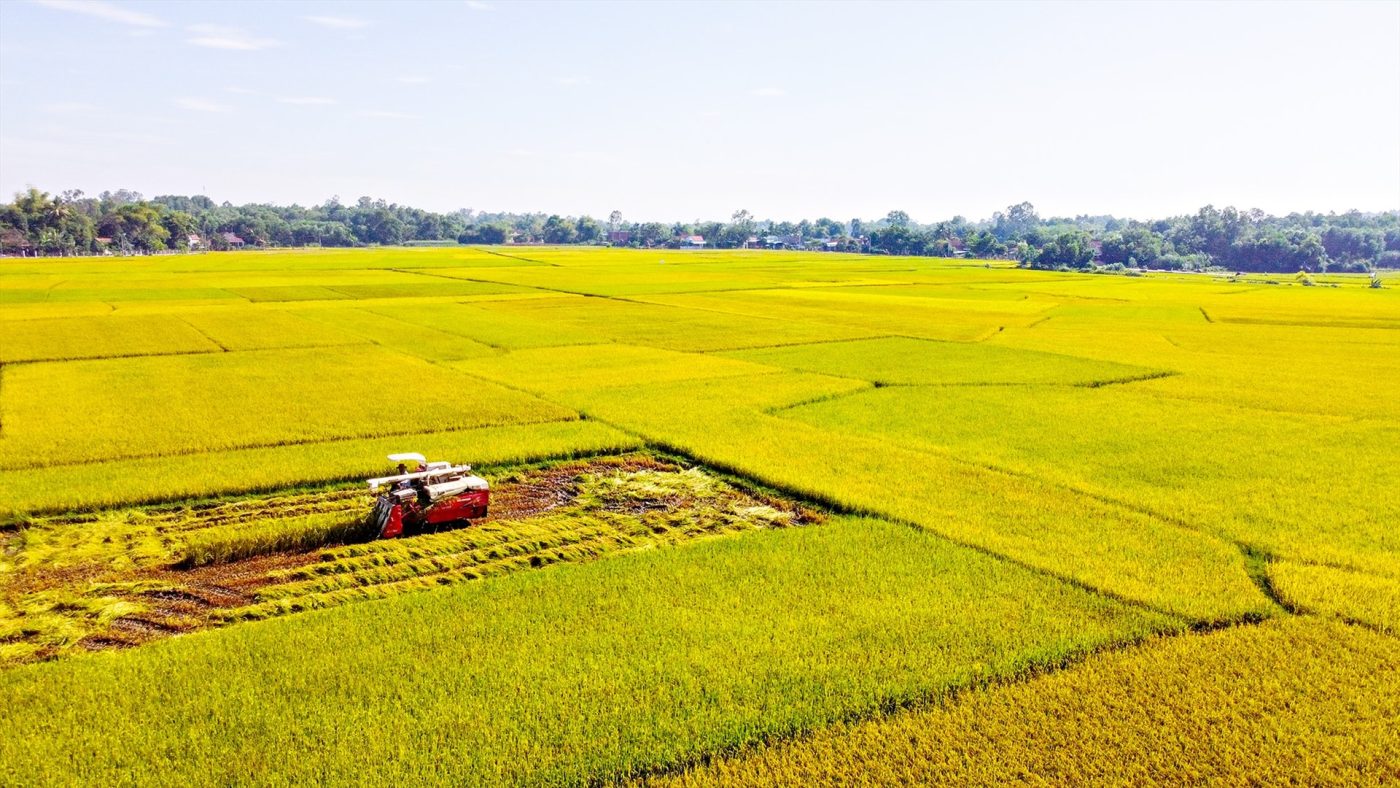 Địa Chỉ Đăng Tin HCM