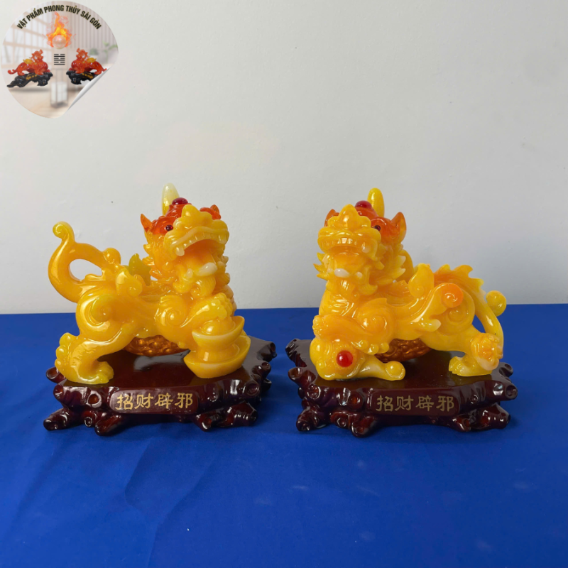Địa Chỉ Đăng Tin HCM