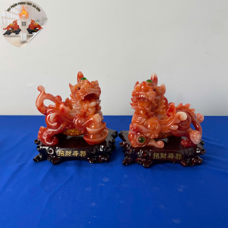 Địa Chỉ Đăng Tin HCM