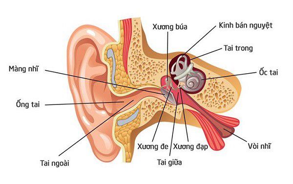 Địa Chỉ Đăng Tin HCM