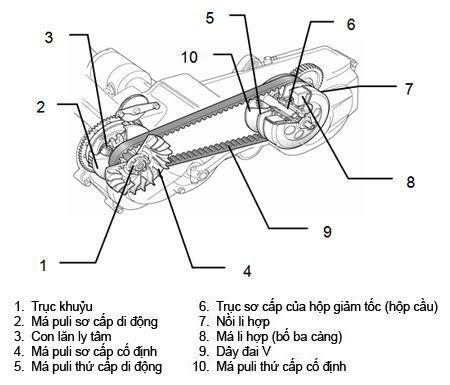 Địa Chỉ Đăng Tin HCM