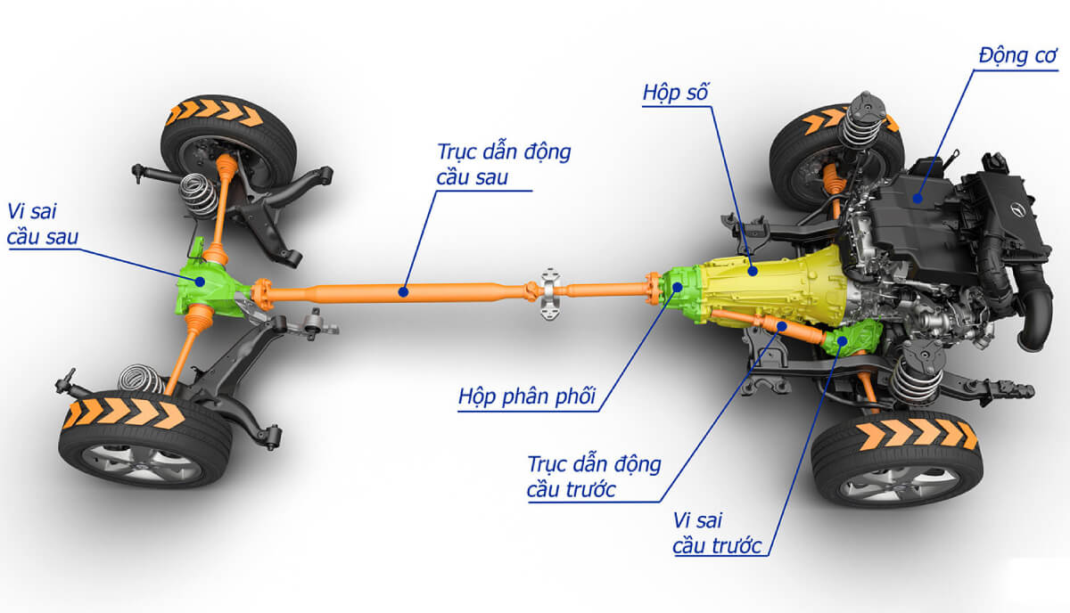 Địa Chỉ Đăng Tin HCM
