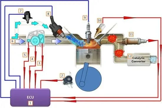 Địa Chỉ Đăng Tin HCM