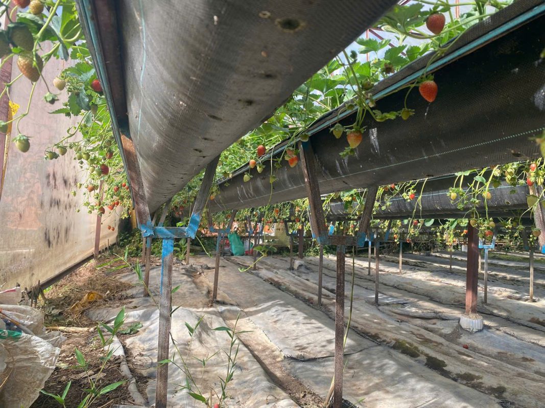 Địa Chỉ Đăng Tin HCM